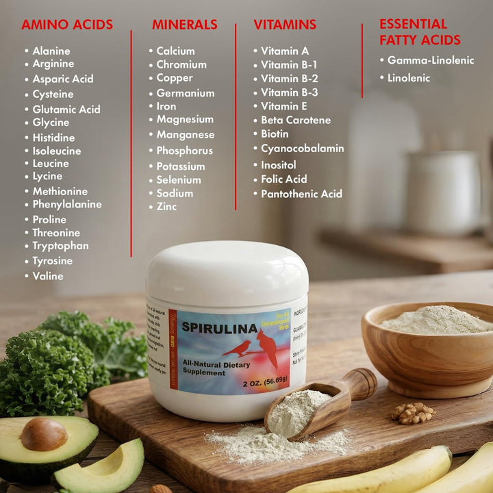 A white jar of Spirulina dietary supplement sits on a wooden cutting board with sliced avocado, banana, kale, and a bowl of powder. Text columns at the top list amino acids, minerals, vitamins, and essential fatty acids.