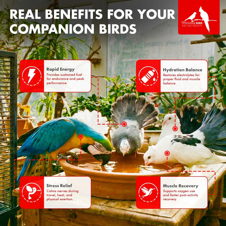 Birds drinking water from a bowl with text highlighting benefits for companion birds.