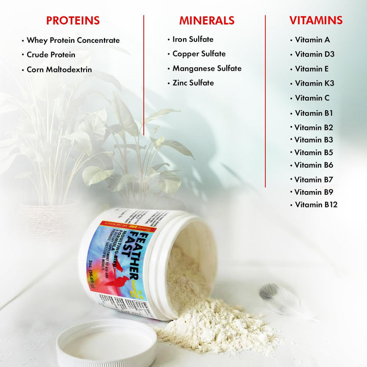 Description of the ingredients used in Morning Bird Feather Fast Supplement, 2 oz.