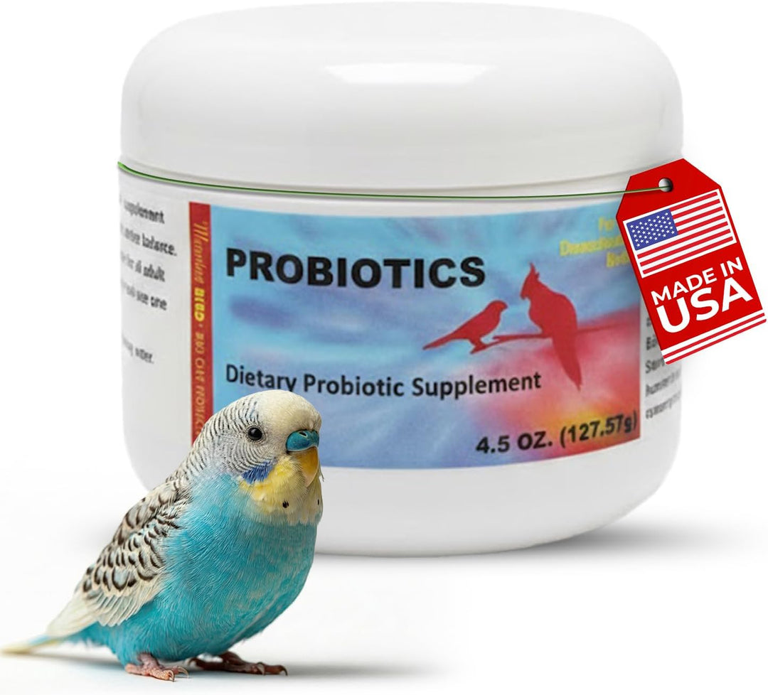 Morning Bird probiotic supplement 4.5 oz. for birds with a parakeet in front on a white background