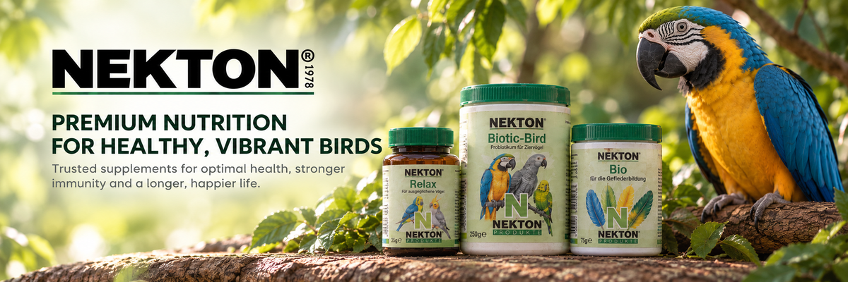 Nekton Banner 1800 x 600