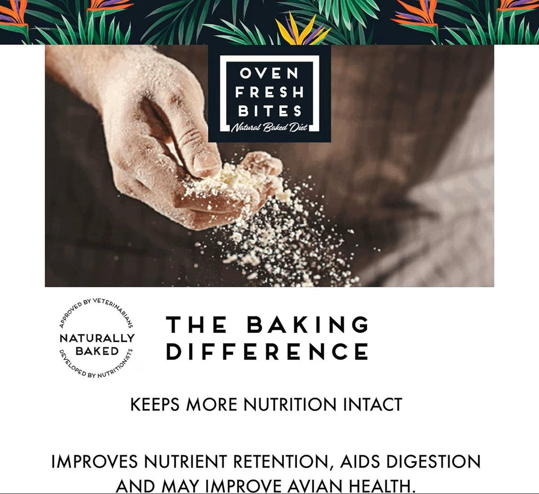 Hand holding flour with 'Oven Fresh Bites' logo and text about baking differences and nutrition.