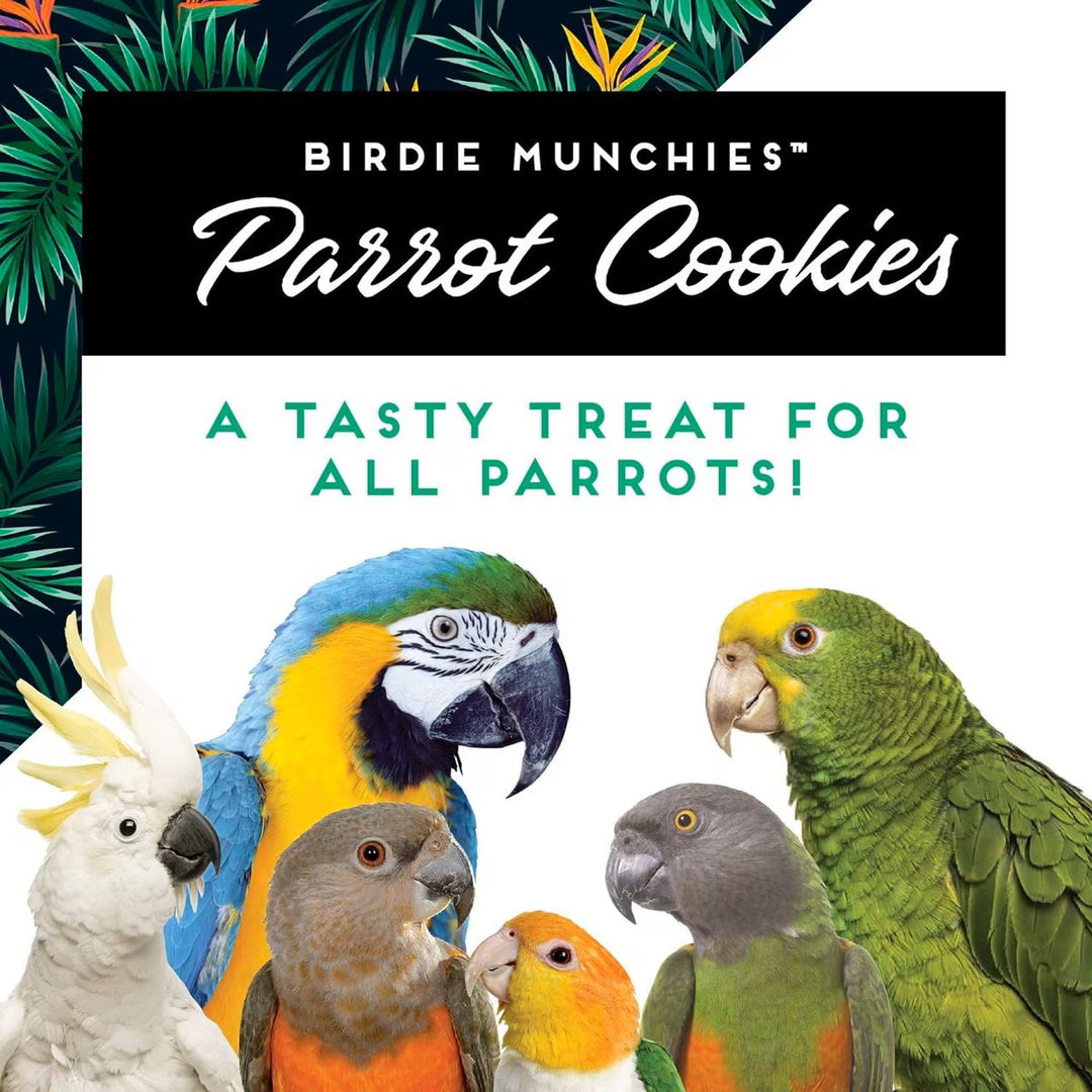 A picture with colorful parrots mentioning how parrot cookies are a taste treat for all parrots
