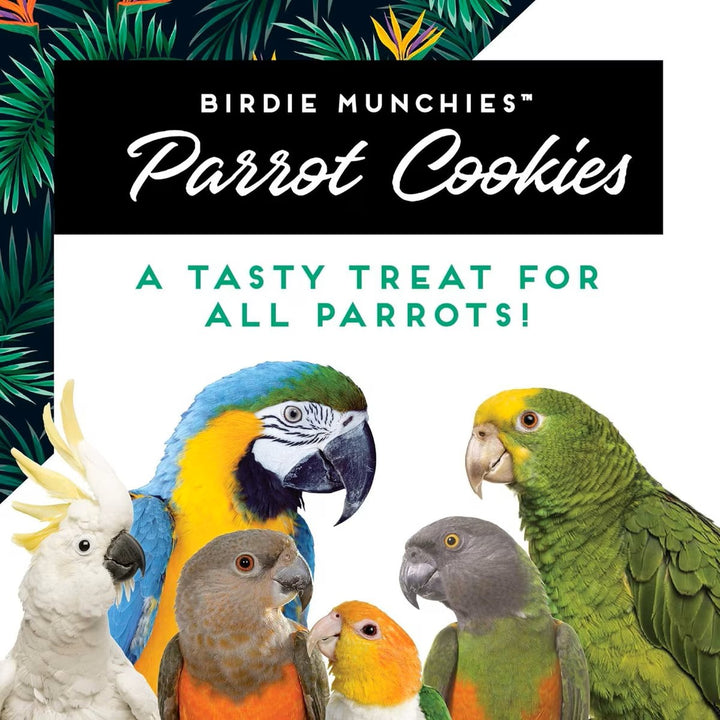A picture with colorful parrots mentioning how parrot cookies are a taste treat for all parrots
