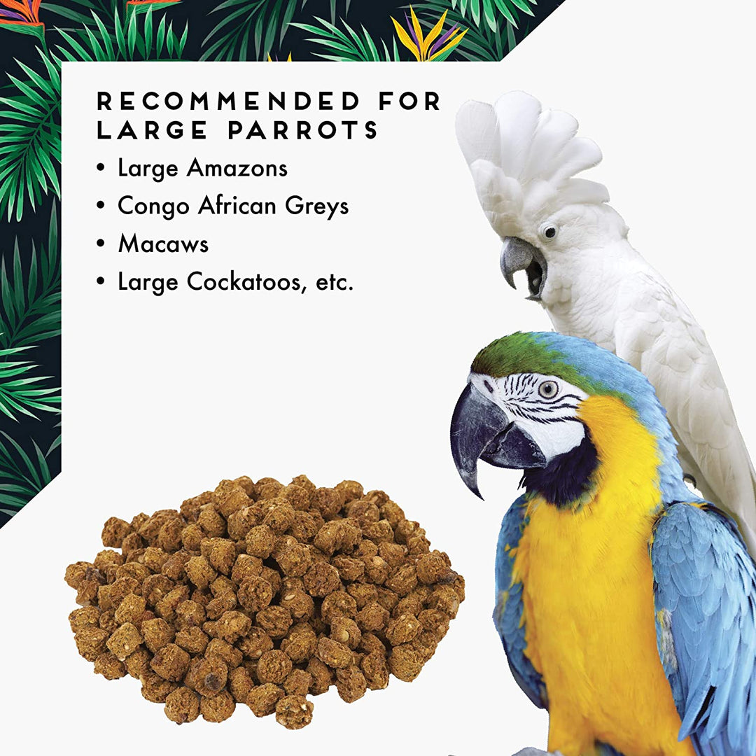 Parrot food with a parrot and text about recommended birds on a white background