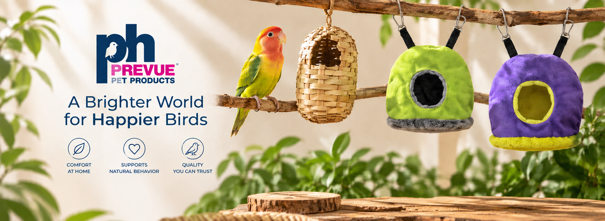 PD  Prevue  BANNER   1800 x 600