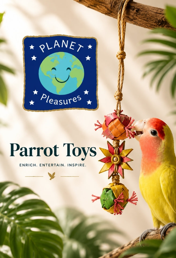 PD   PLANET PLEASURES  BANNER   750 X 1100
