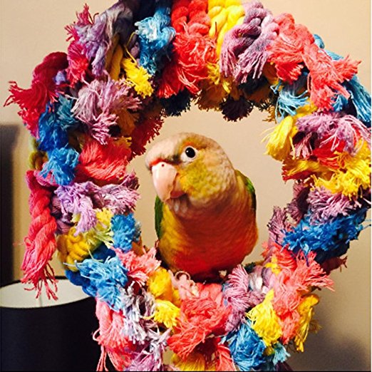 PT00379-Caitec-Paradise-Toys-Medium-Cotton-Snuggle-Ring-for-birds