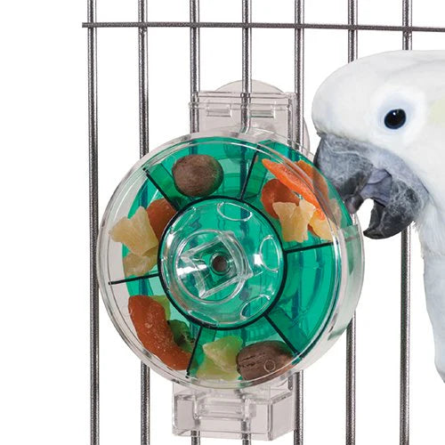 PT00755-Caitec-Paradise-Toys-Generation-II-Foraging-Wheel-Extra-Large-for-birds