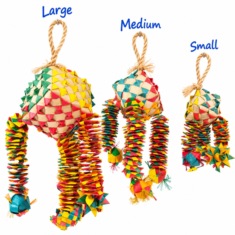 Planet Pleasures Diamond Bouncer Bird Toy 