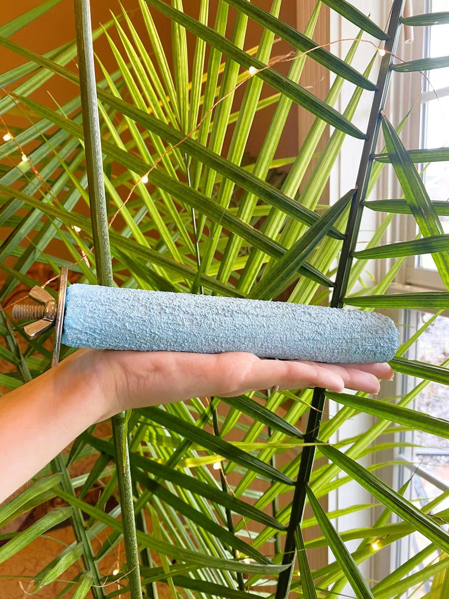 Hand holding a bluePolly's Pet Products Pastel Bird Perch (Medium)  in front of a green plant