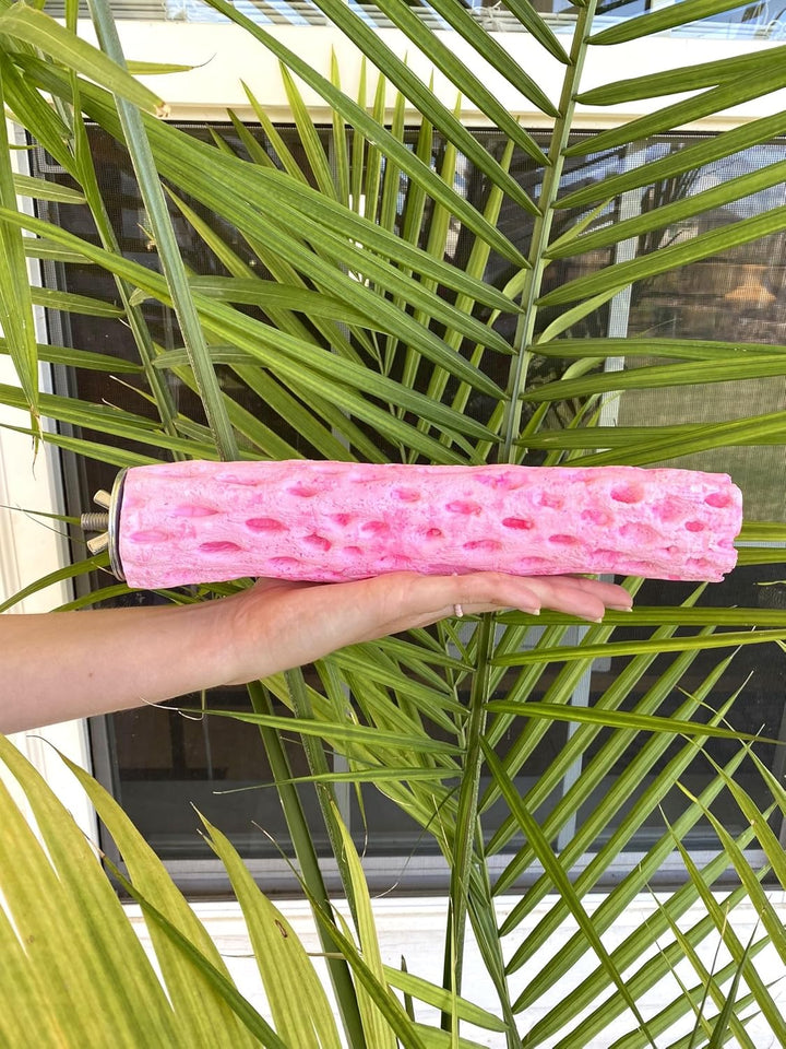 Person holding a pink Polly's Pet Products Tooty Fruity Pollen Perch - Large in front of a green leafy background