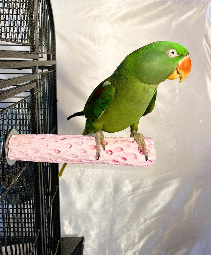 Green parrot perched on a pink Polly's Tooty Fruity Medium perch in front of a metal cage.