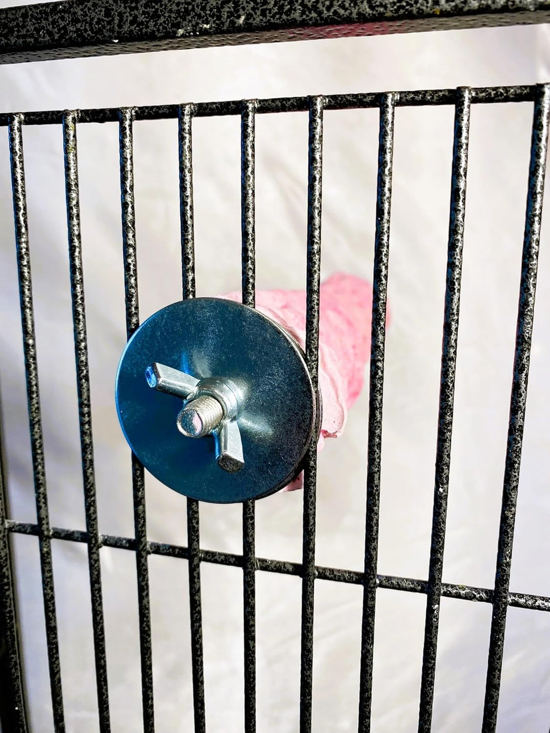 Metallic blue wheel with the pink Polly's Pet Products Tooty Fruity Pollen Perch - Medium behind a black metal grid