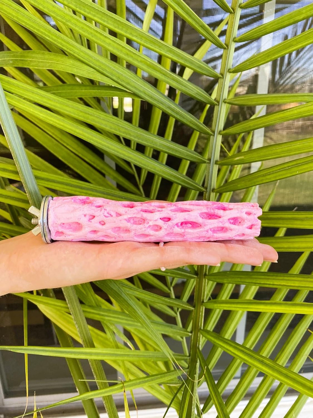 Polly's Pet Products Tooty Fruity Pollen Perch - Small held in front of a green leafy background