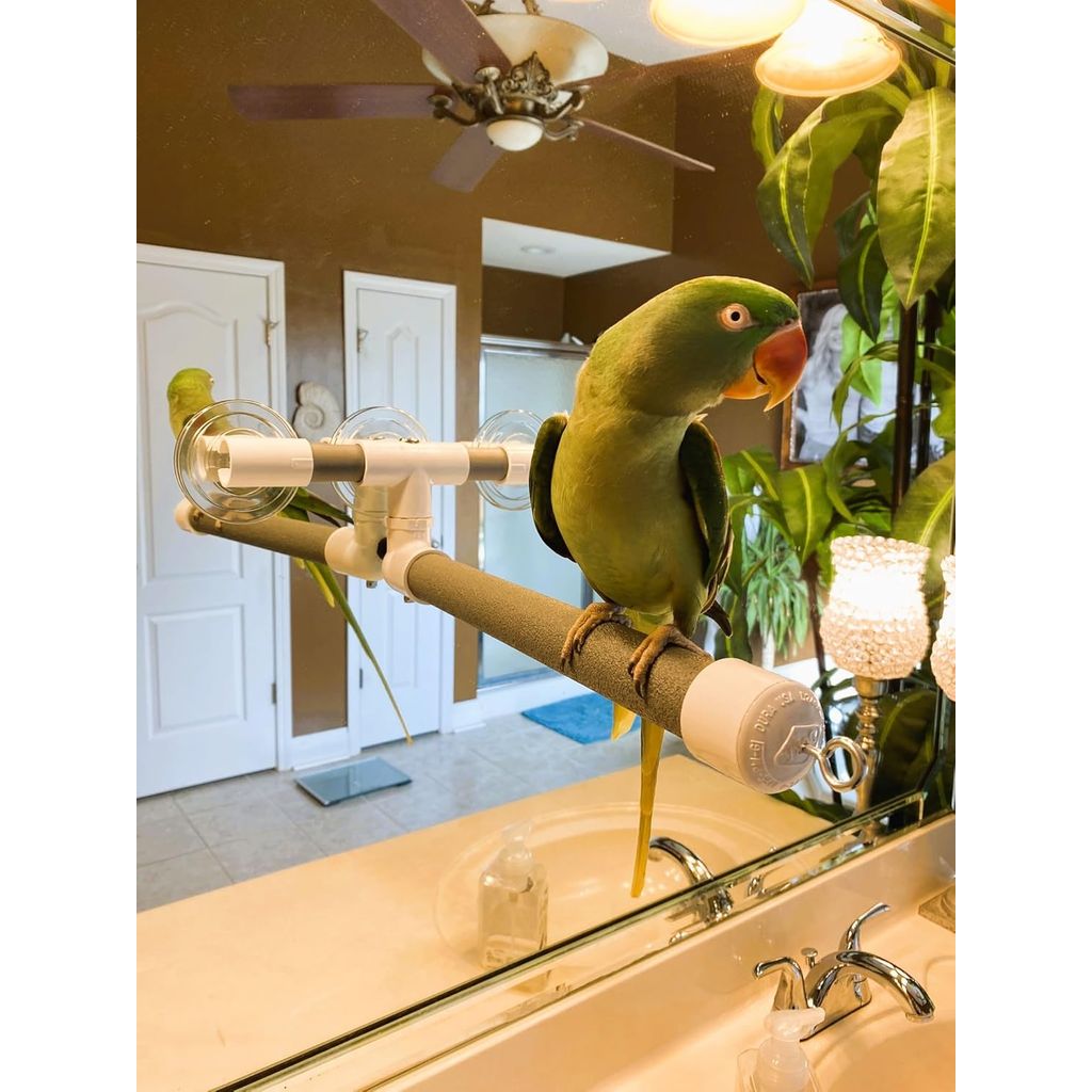 Green parrot perched on a Polly's Deluxe Window & Shower Bird Perch - Large in a bathroom setting