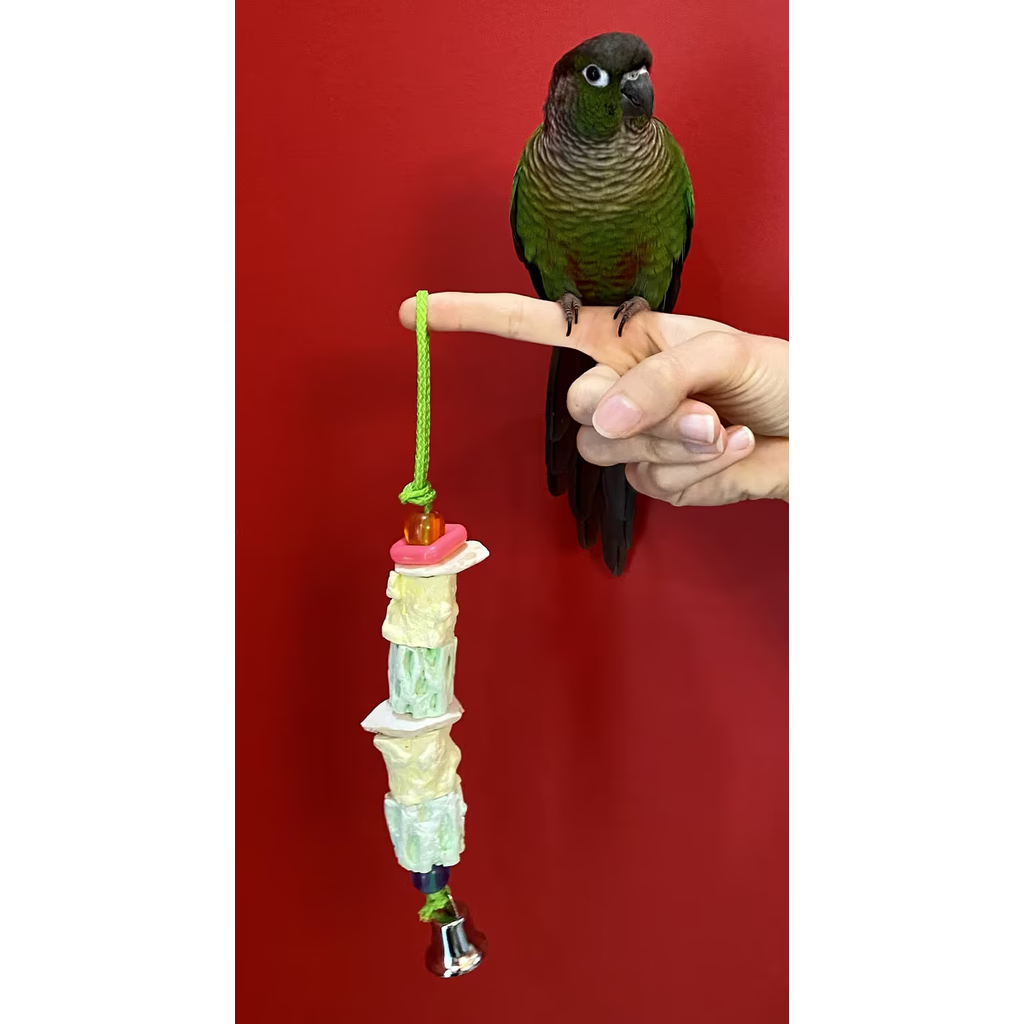 Green parrot perched on a hand holding a colorful Polly's Pet Products Small Cuttlebone Secrets Bird Toy against a red background