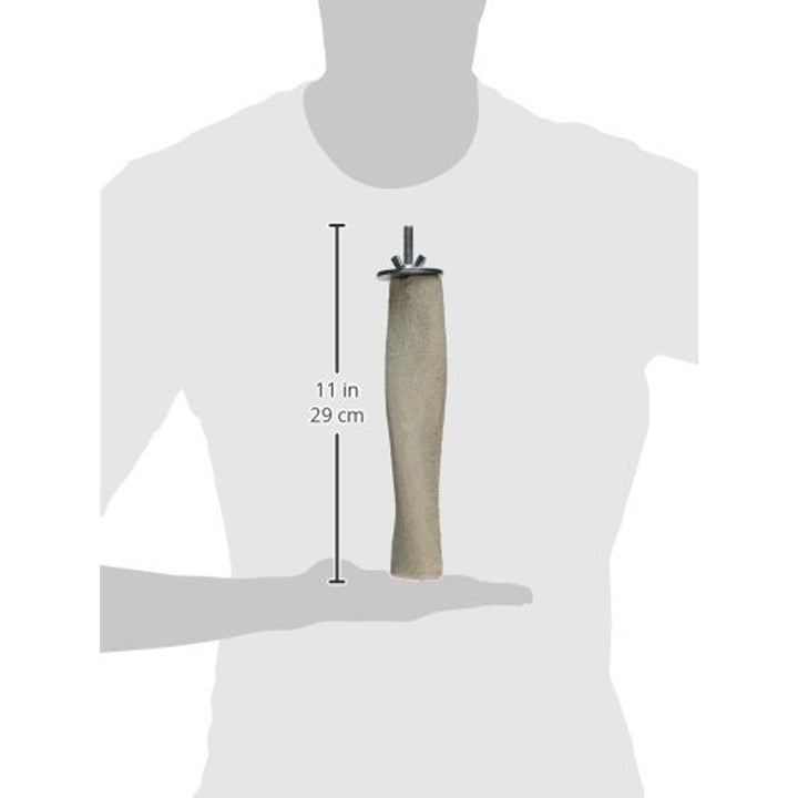 Dimensions of Polly's Pet Products Twister Bird Perch - Medium