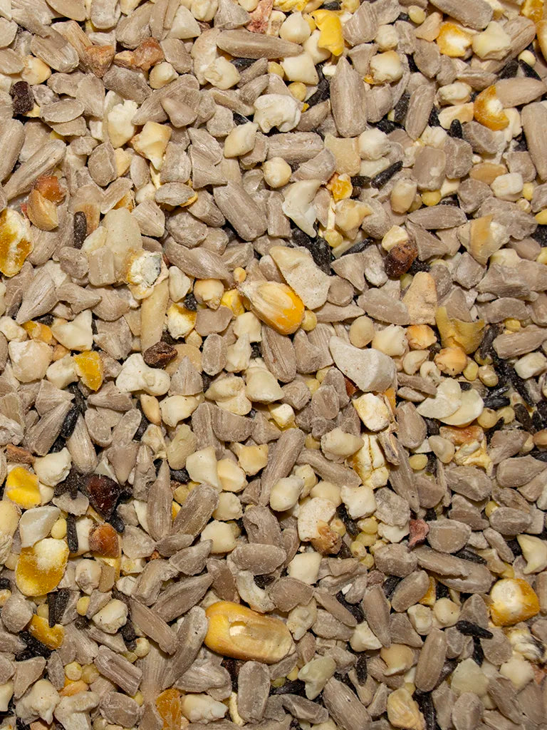 Close-up of a mix of bird seeds with various colors including brown, yellow, and white.