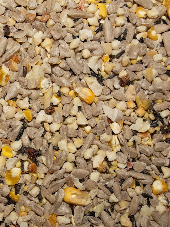 Close-up of a mix of bird seeds with various colors including brown, yellow, and white.