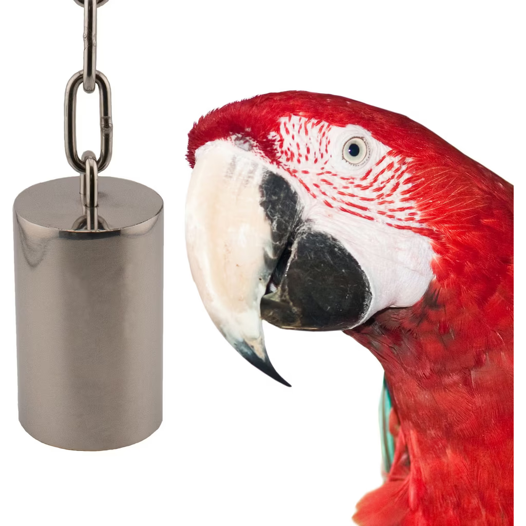 Red parrot interacting with a metal bell (SS Tube Bell-Lg) on a white background