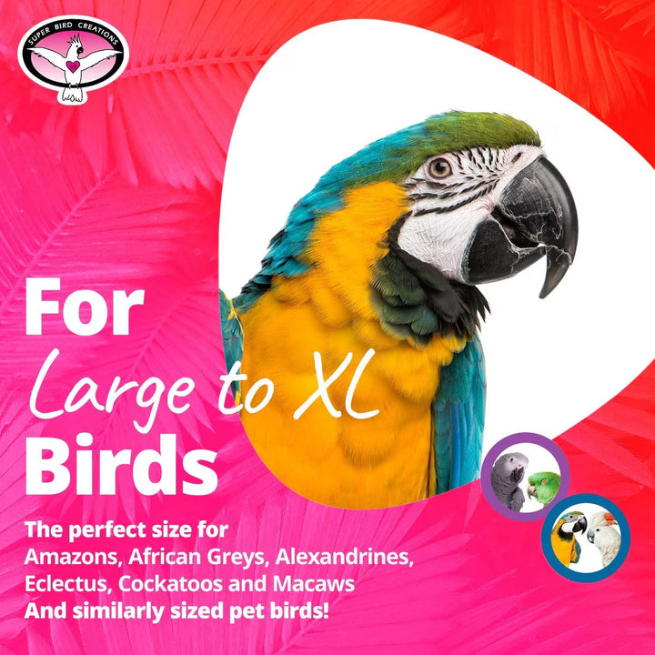 Colorful parrot on a pink background with text about bird sizes.