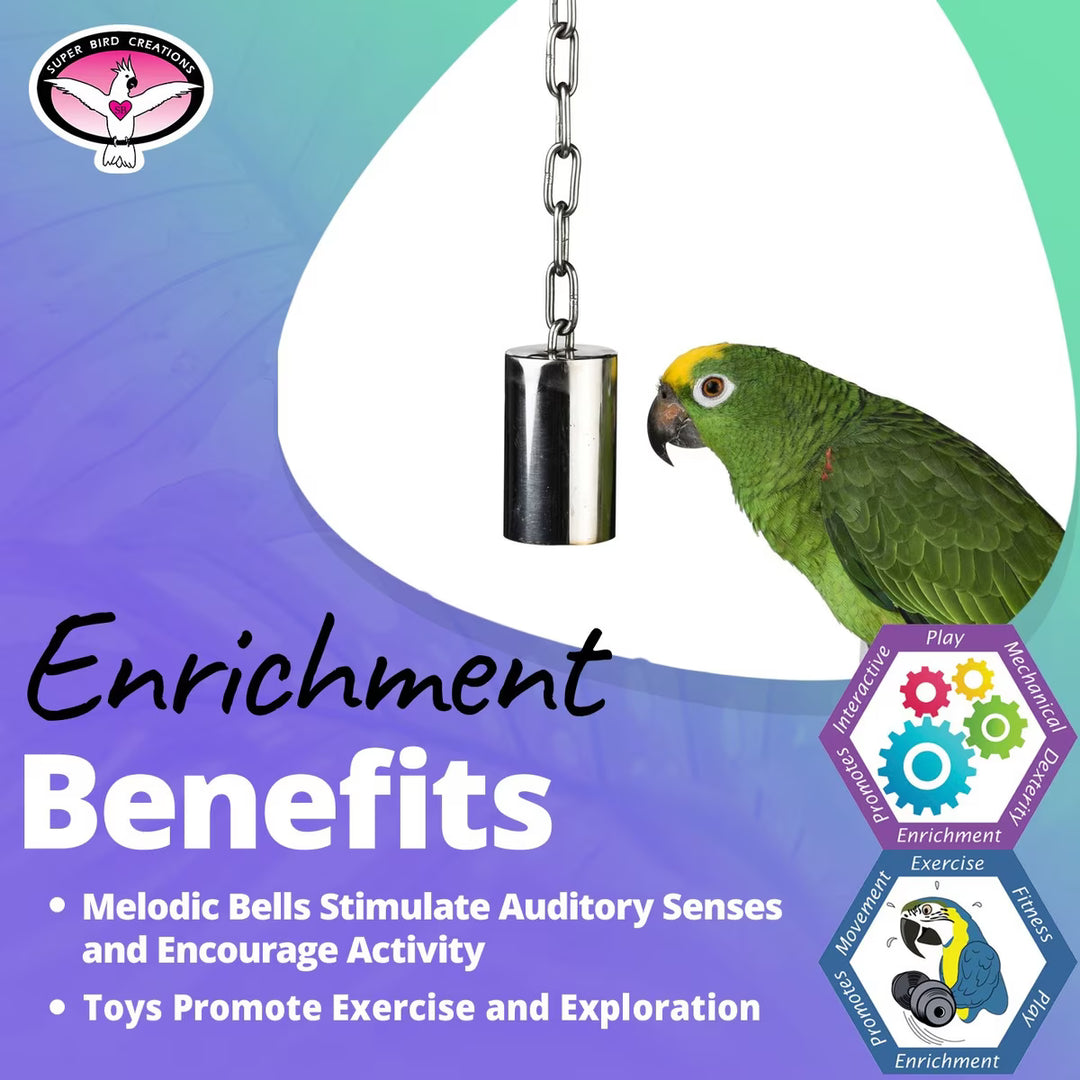 Green parrot with a melodic bell toy (SS Tube Bell) on a colorful background, promoting enrichment benefits for birds.
