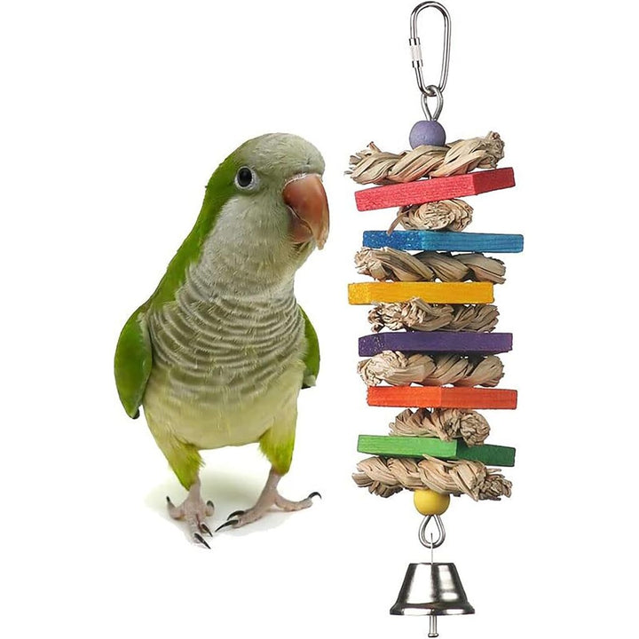 Green parrot next to a colorful bird toy Seagrass wafers with a bell on a white background