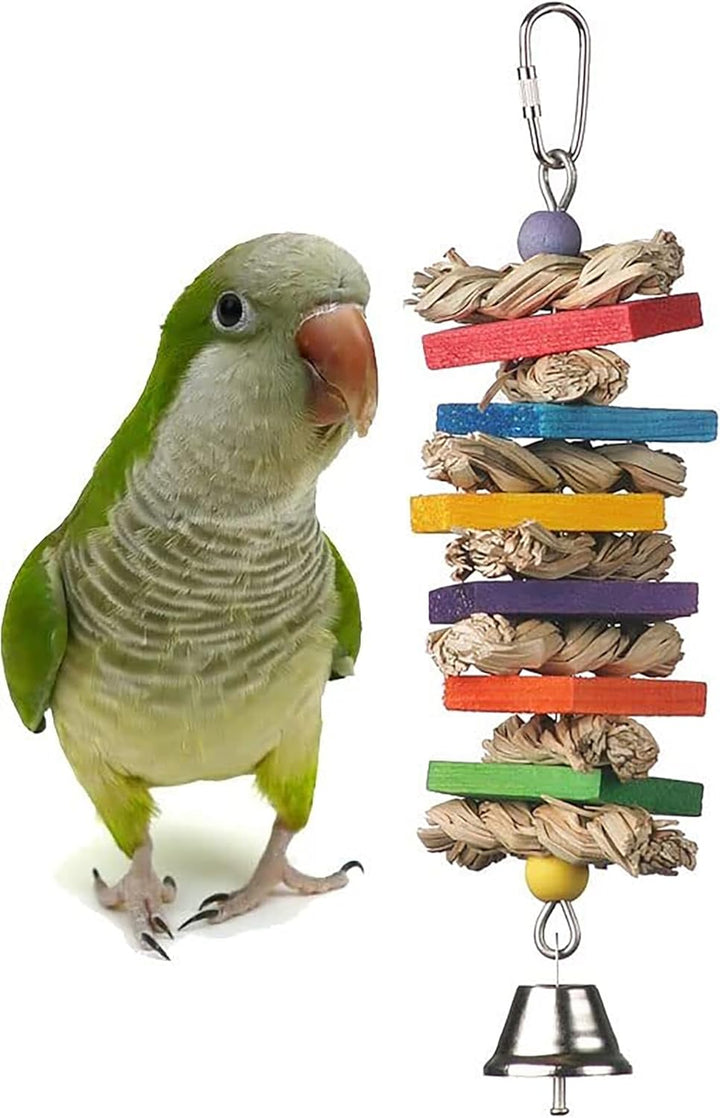 Green parrot next to a colorful bird toy Seagrass wafers with a bell on a white background