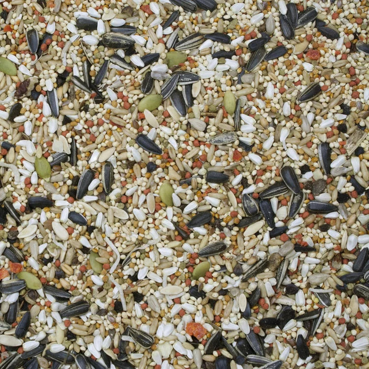 Sunburst_Cockatiel_25lb_Seed