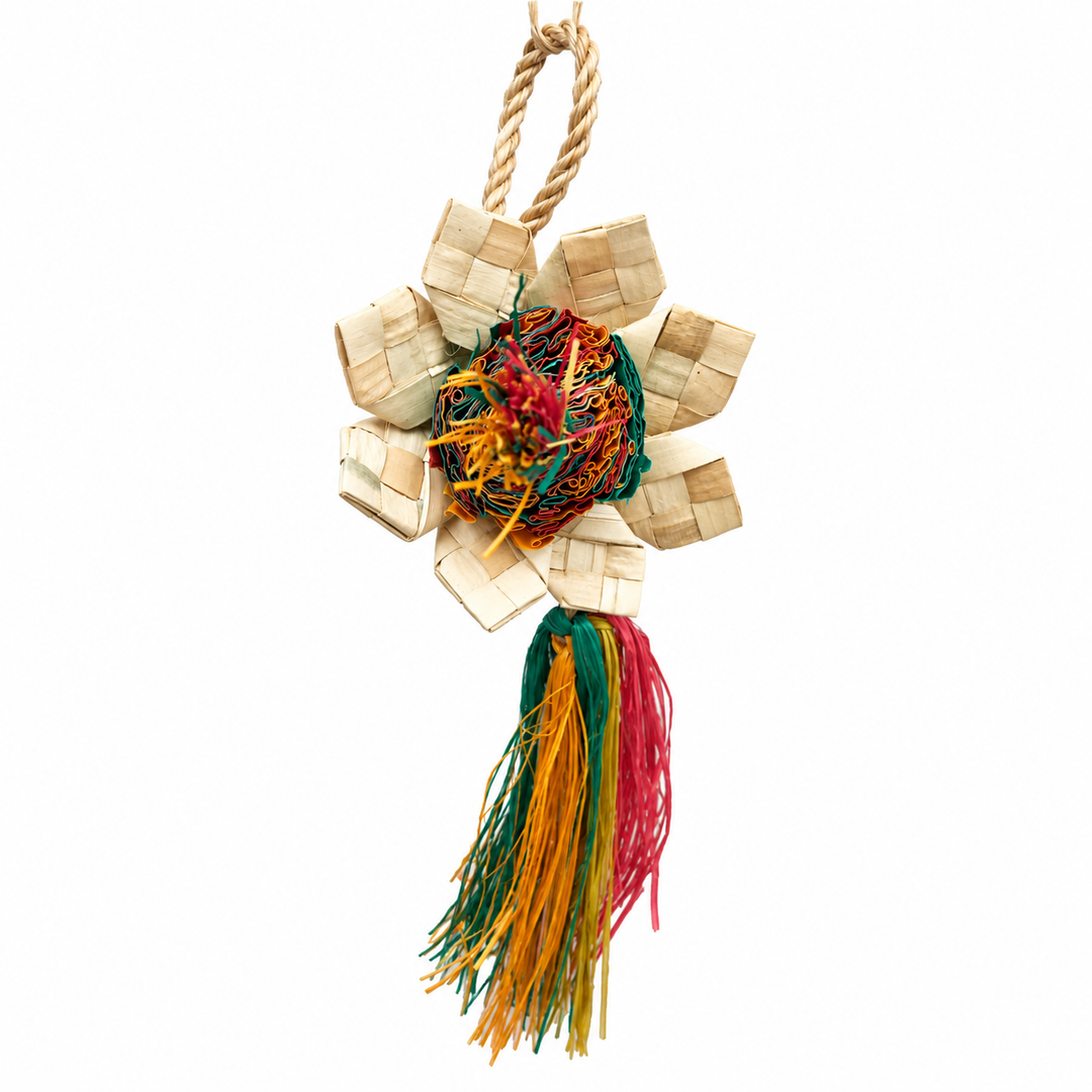 Planet Pleasures Natural Sunflower Bird Toy – Small