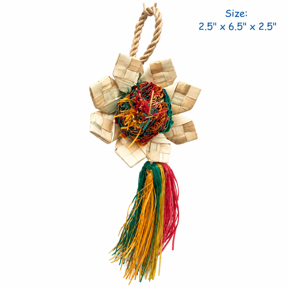 Planet Pleasures Natural Sunflower Bird Toy – Small