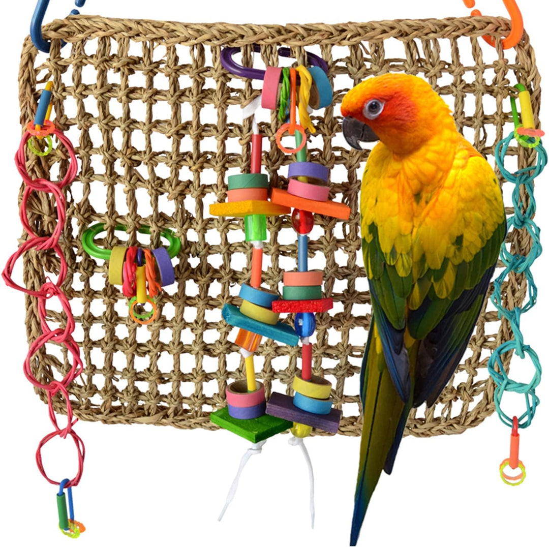 Colorful parrot perched on Super Bird Creations Activity Wall bird play gym with various toys.