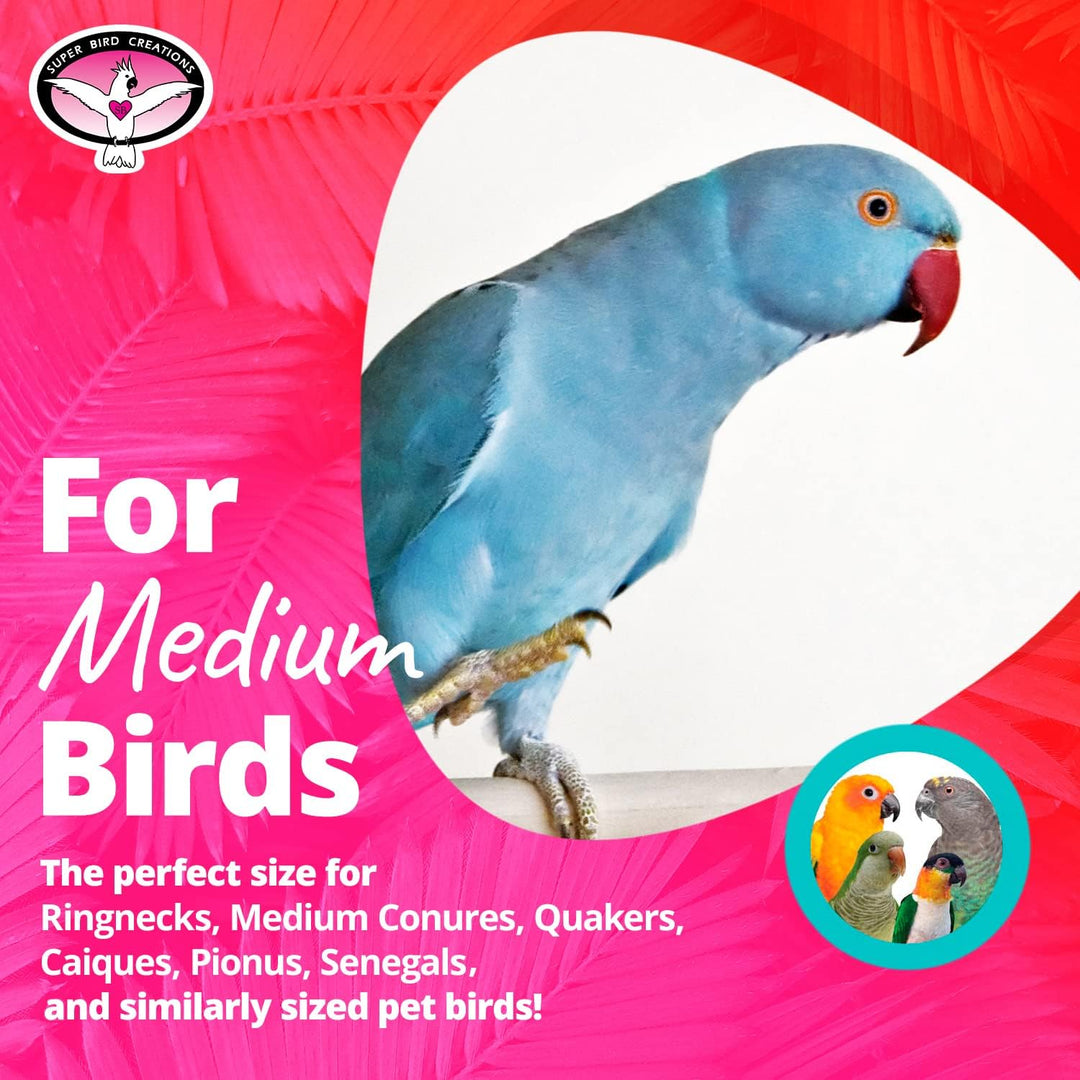 Blue parrot on a pink background with text about medium birds