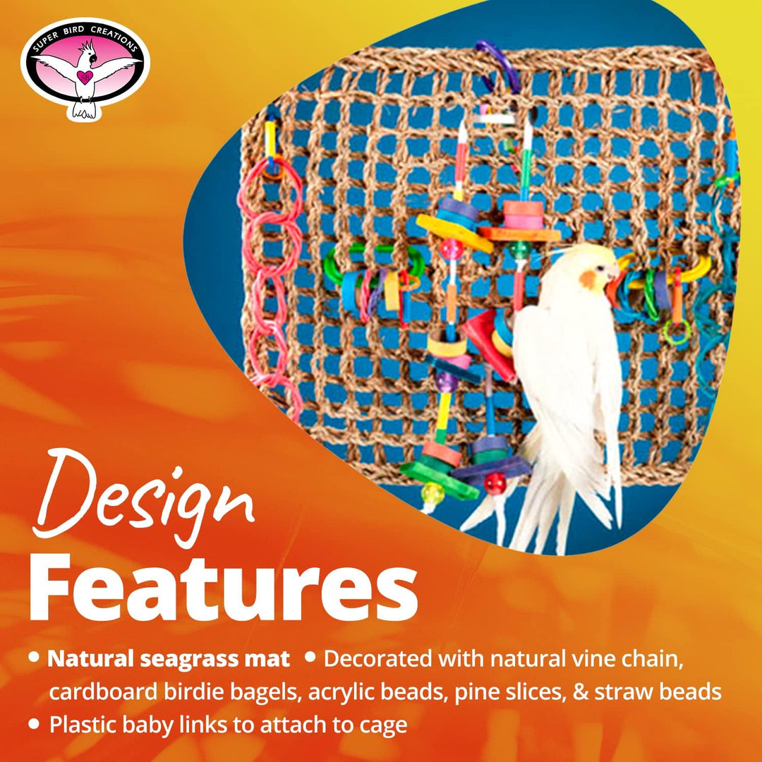Super Bird Creations Activity Wall Bird play gym with colorful toys on a blue and orange background