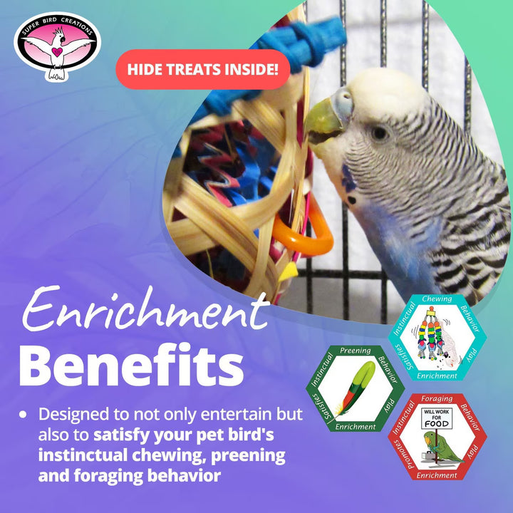 Parrot interacting with a colorful enrichment toy (Super Bird Creations Basket Case) on a blue and green gradient background.