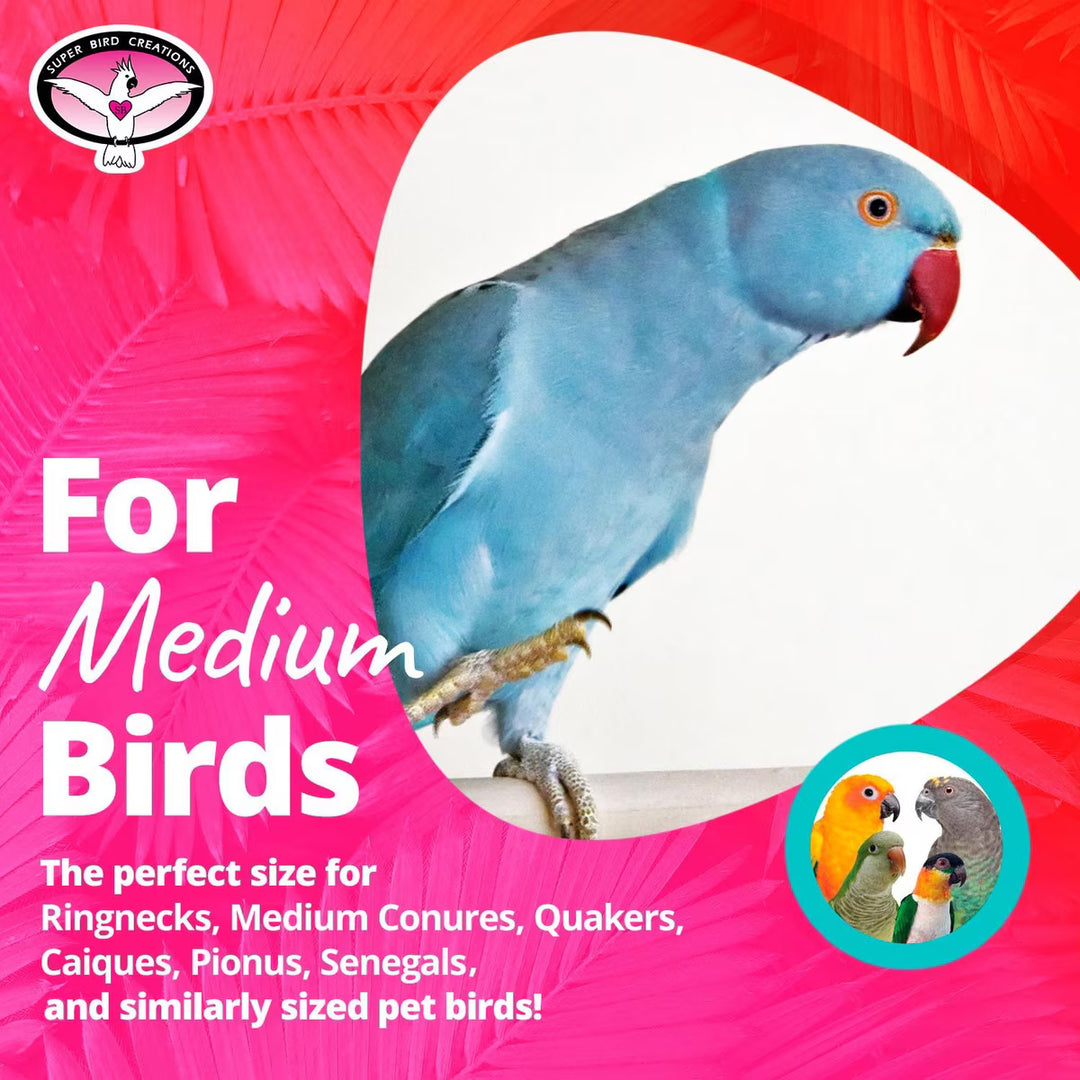 Blue parrot on a pink background with text about medium birds