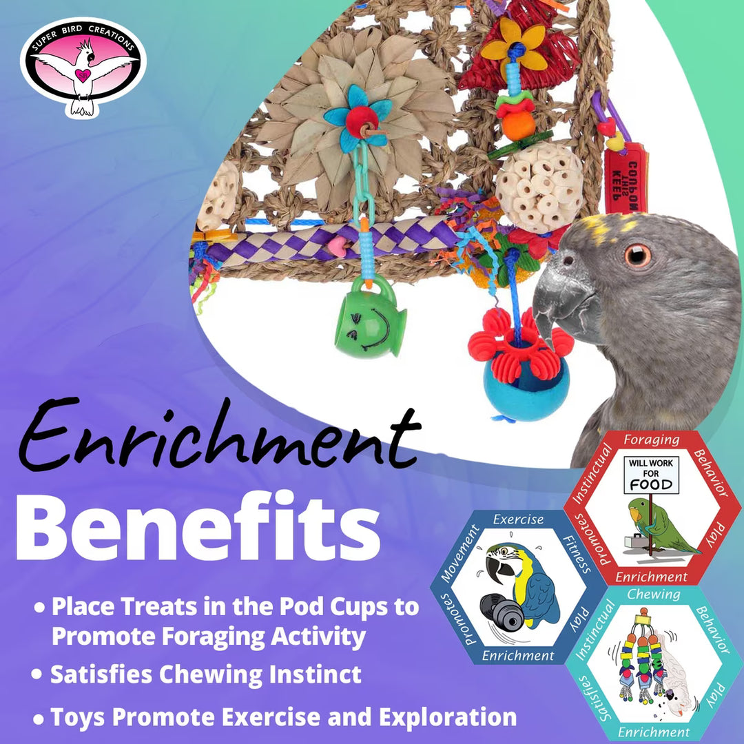 Super Bird Creations Buffet Wall Parrot toy with text about enrichment benefits on a colorful background