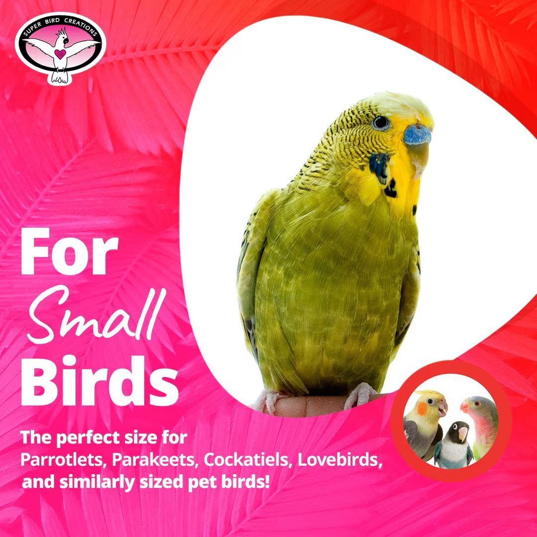 Green parrot on a pink background with text about small birds