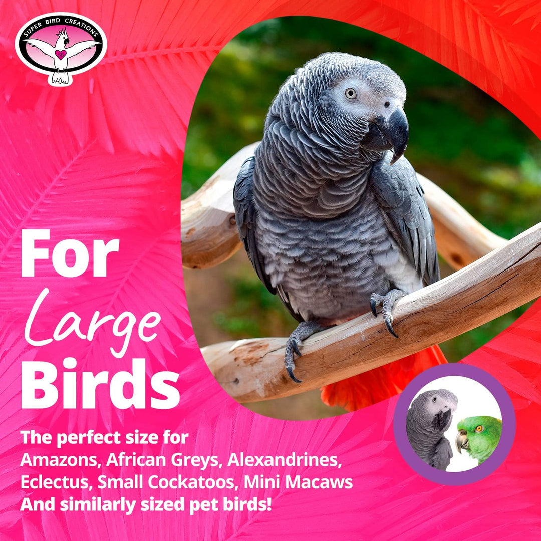 Gray parrot on a branch with promotional text for large birds on a pink background