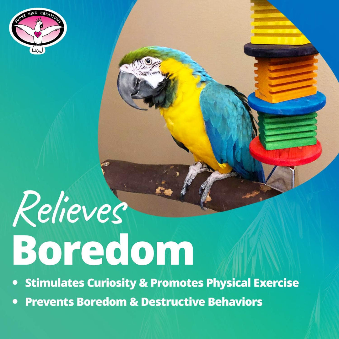 Colorful parrot on a perch with a bird toy, against a blue and green gradient background.