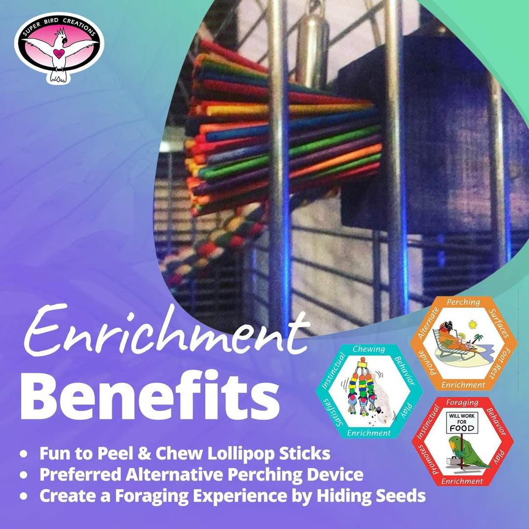 Colorful paper lollipop sticks in a bird cage with text about enrichment benefits on a blue and green gradient background.