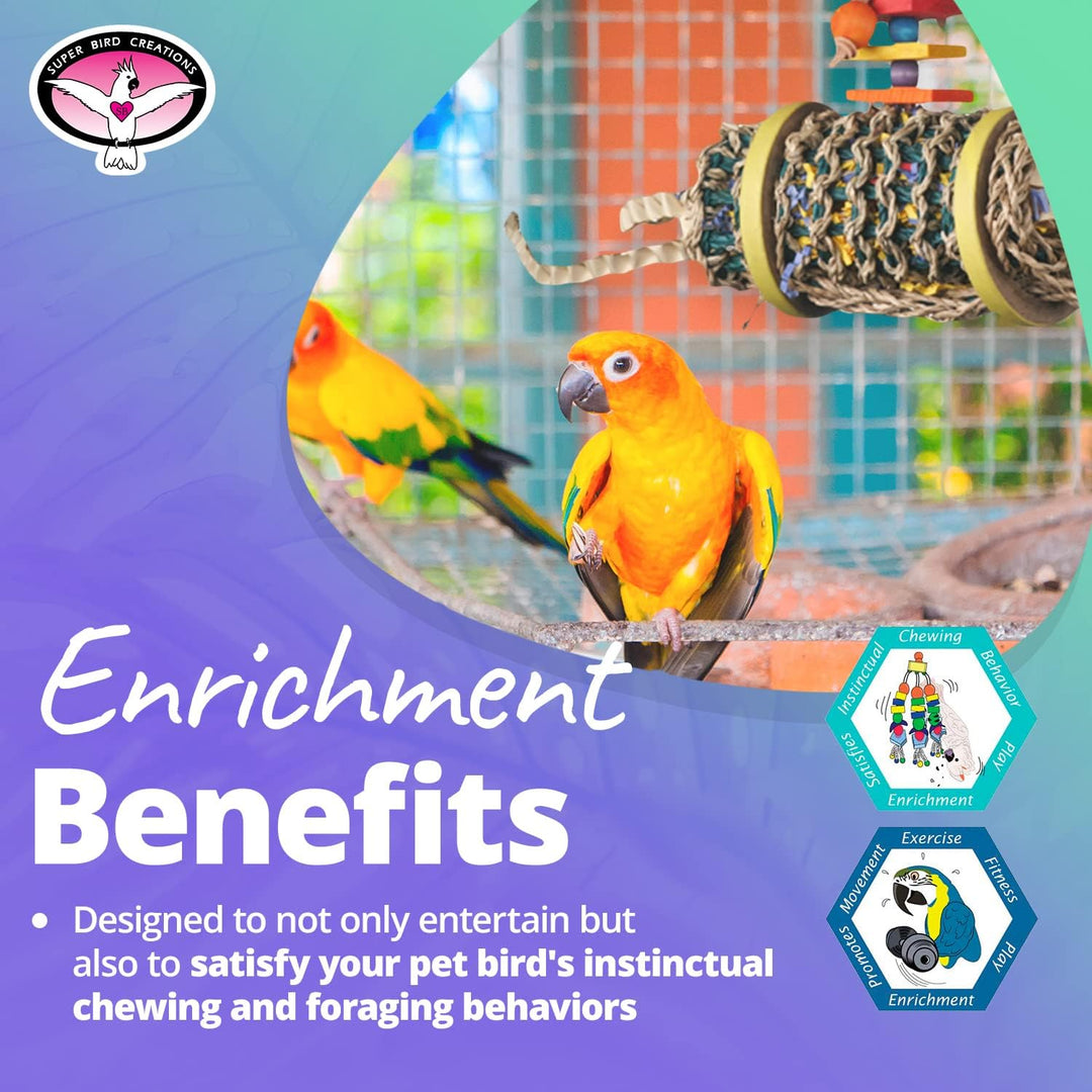 Two colorful parrots in a cage with enrichment toys, surrounded by text about pet bird care.