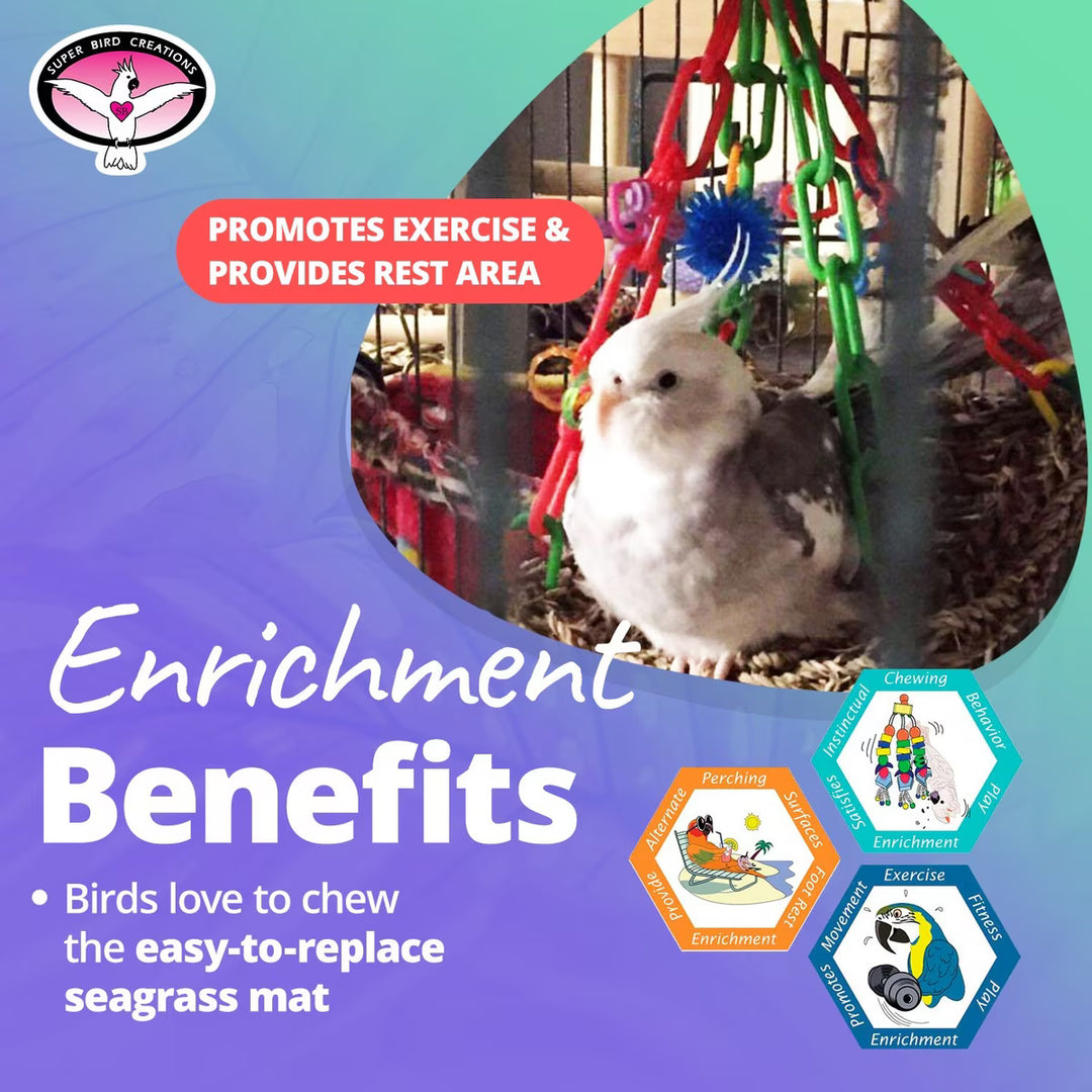 Bird in Super Bird Creations Flying Trapeze with enrichment toys and text about its benefits