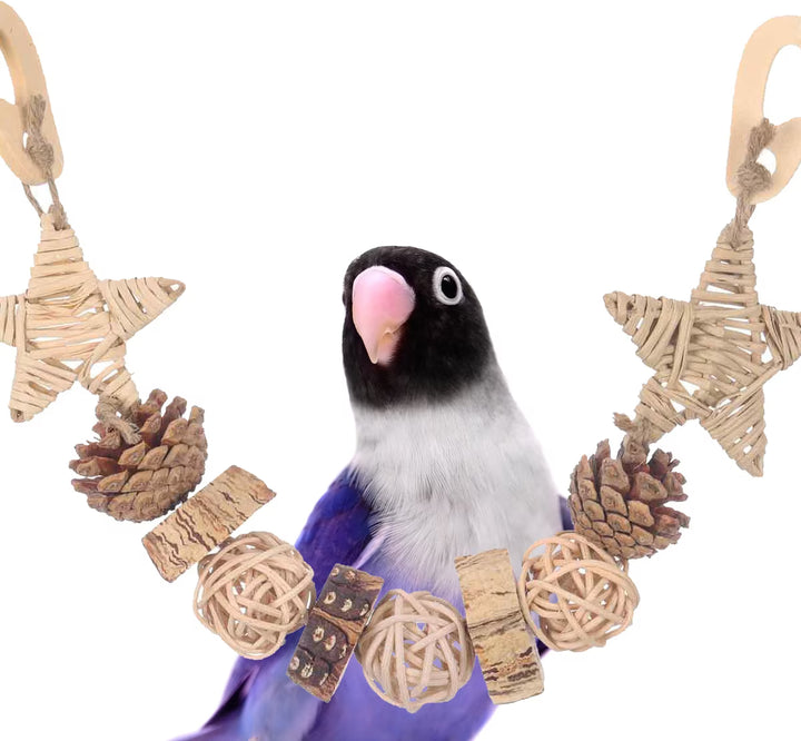 Bird with Super Bird Creations Forest Garland bird toy including pine cones, rattles, and star-shaped toys on a white background