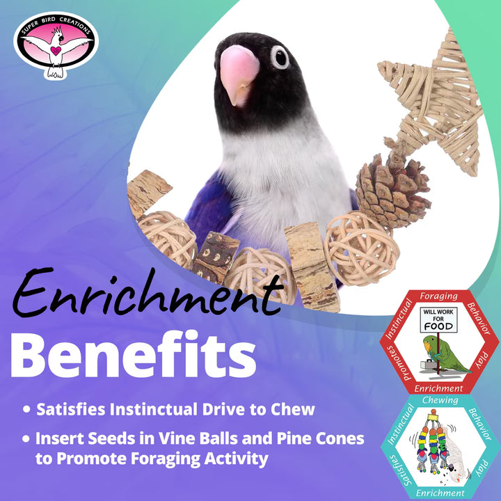 Bird with enrichment toys and text about bird care on a colorful background