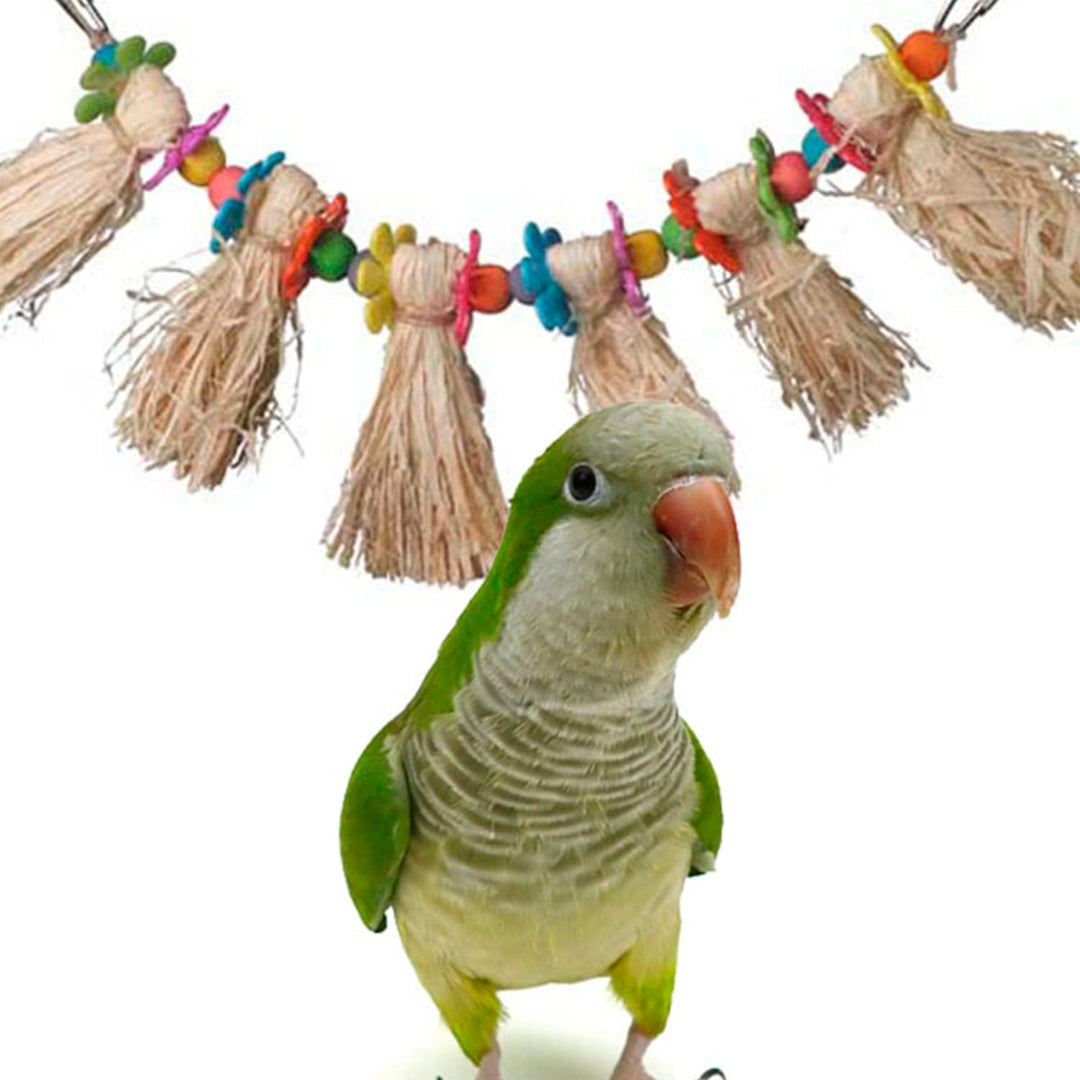 Green parrot standing next to a colorful bird toy (Super Bird Creations Hula Skirt) with tassels on a white background