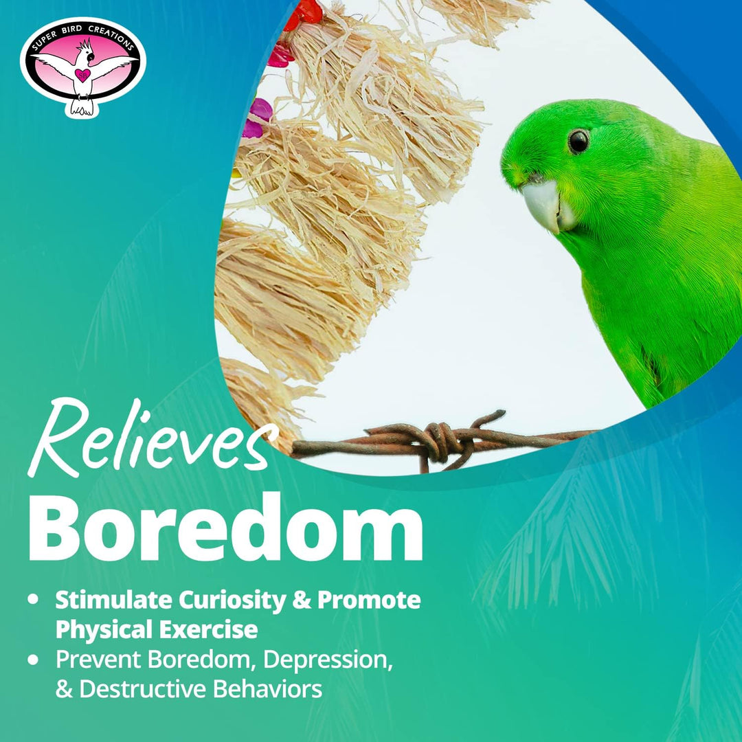Green parrot with text about relieving boredom and promoting physical exercise on a blue background
