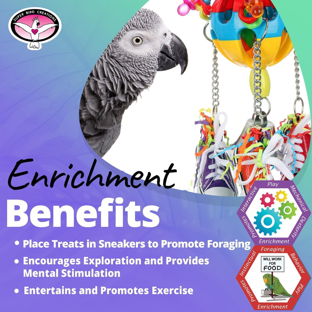 Gray parrot with a colorful bird toy - Super Bird Creations Kick Balland text about enrichment benefits on a gradient background