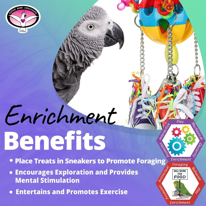 Gray parrot with a colorful bird toy - Super Bird Creations Kick Balland text about enrichment benefits on a gradient background